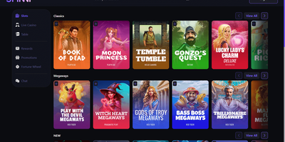 Spinni site preview