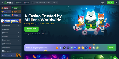 Aperçu du site Wild.io